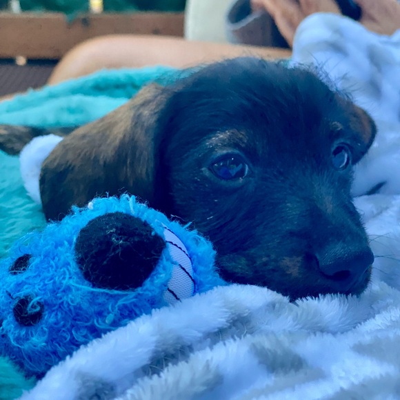 Meet your Posher, Chrissie - Picture 3 of 5